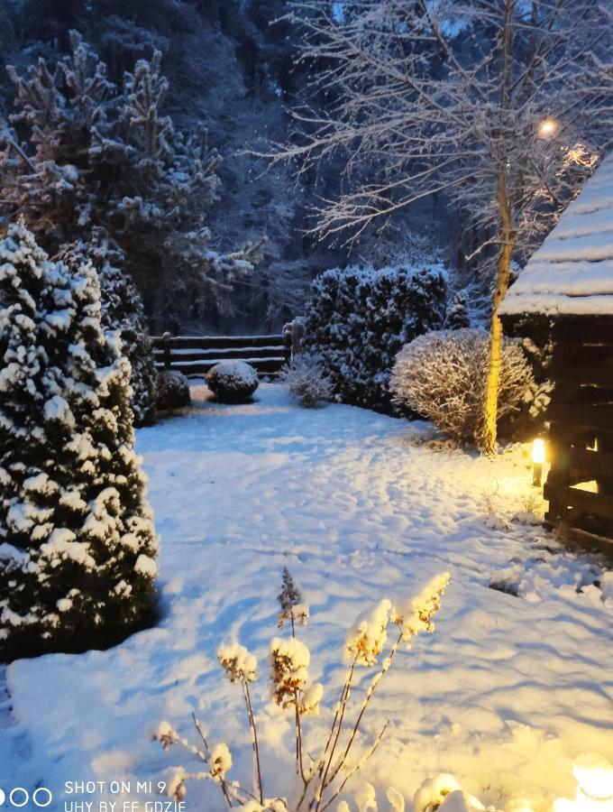 Apartamenty Pod Sosnami Ostroda Miedzylesie 6Os Buitenkant foto